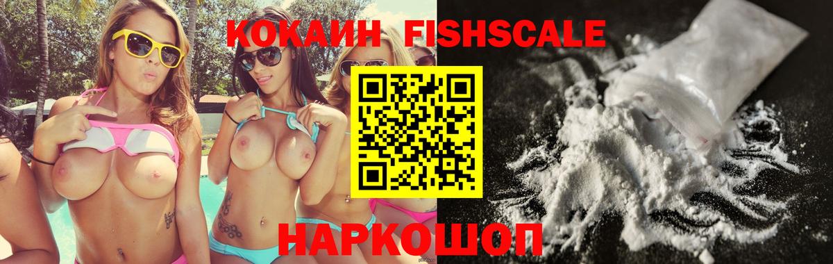 КОКАИН Fish Scale  Вход с VPN  Бердск 