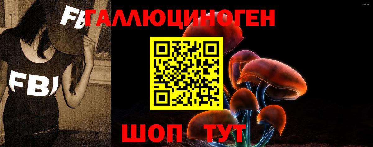 Галлюциногенные грибы GOLDEN TEACHER  Галлюциногенные грибы прущие грибы  Бердск  Вход с VPN 